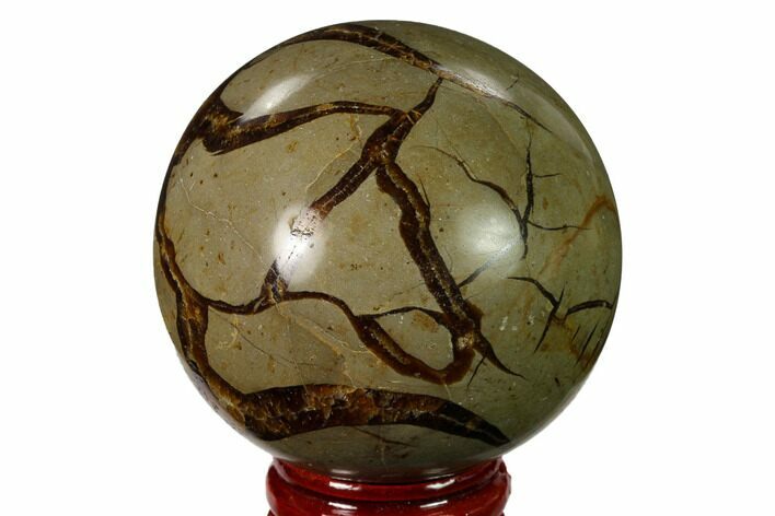 2.2" Polished Septarian Sphere - Madagascar
